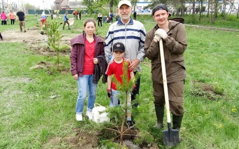 Дорожки друзей