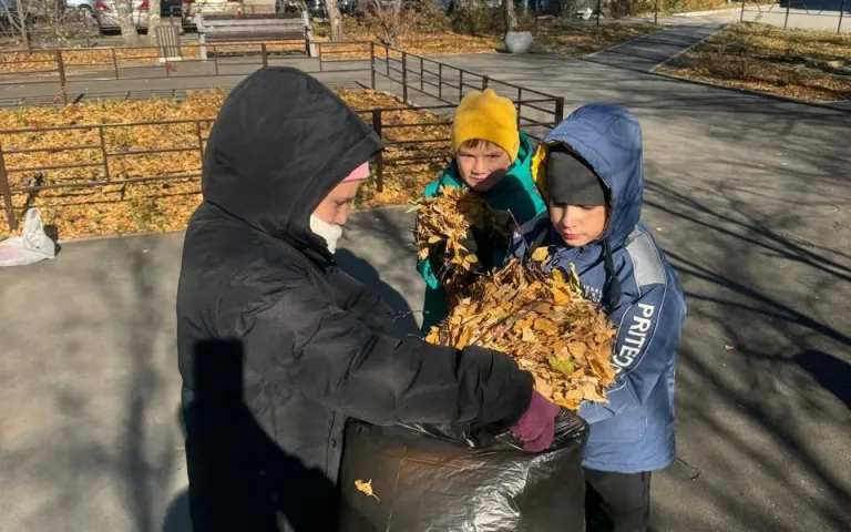 Выходной день с пользой