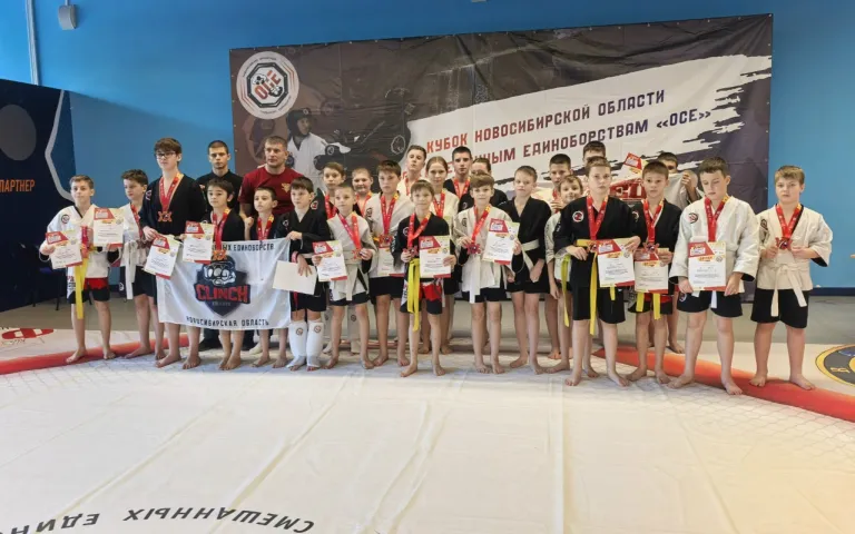 XX Всероссийский фестиваль боевых искусств