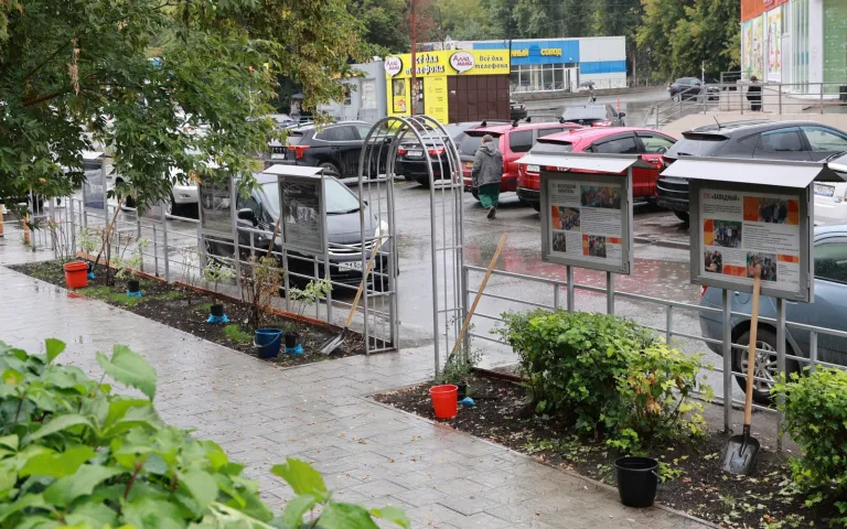 Площадка карманного парка