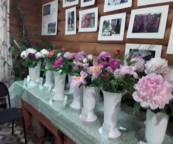 Выставка "Пион - 2023" в Дачной академии,город Новосибирск