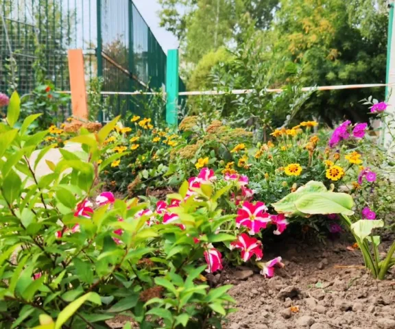 Островок радости