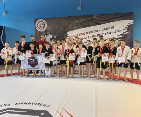 XX Всероссийский фестиваль боевых искусств